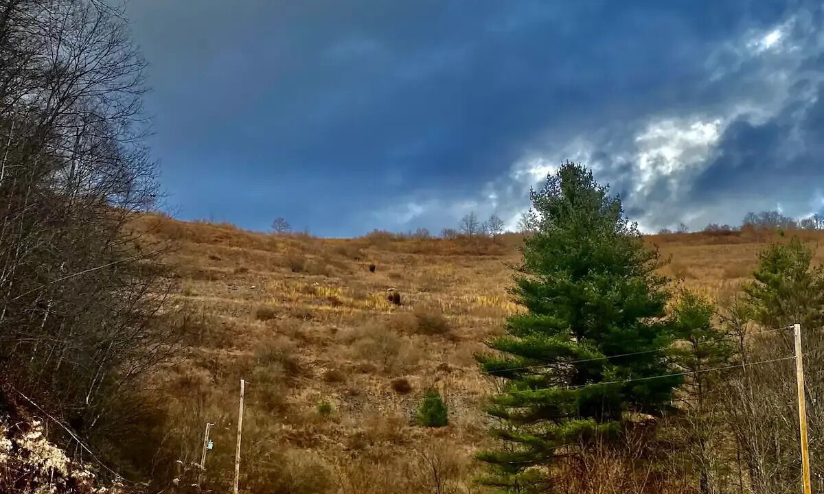 Photo of Outdoor in Vansant