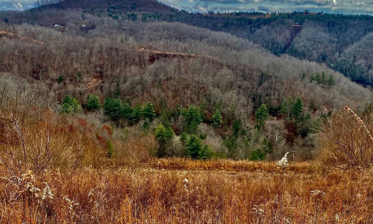 Photo of Outdoor in Vansant
