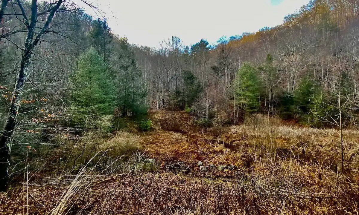 Photo of Outdoor in Vansant