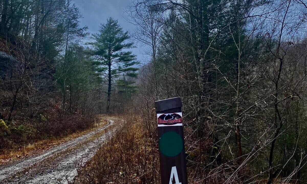 Photo of Outdoor in Vansant