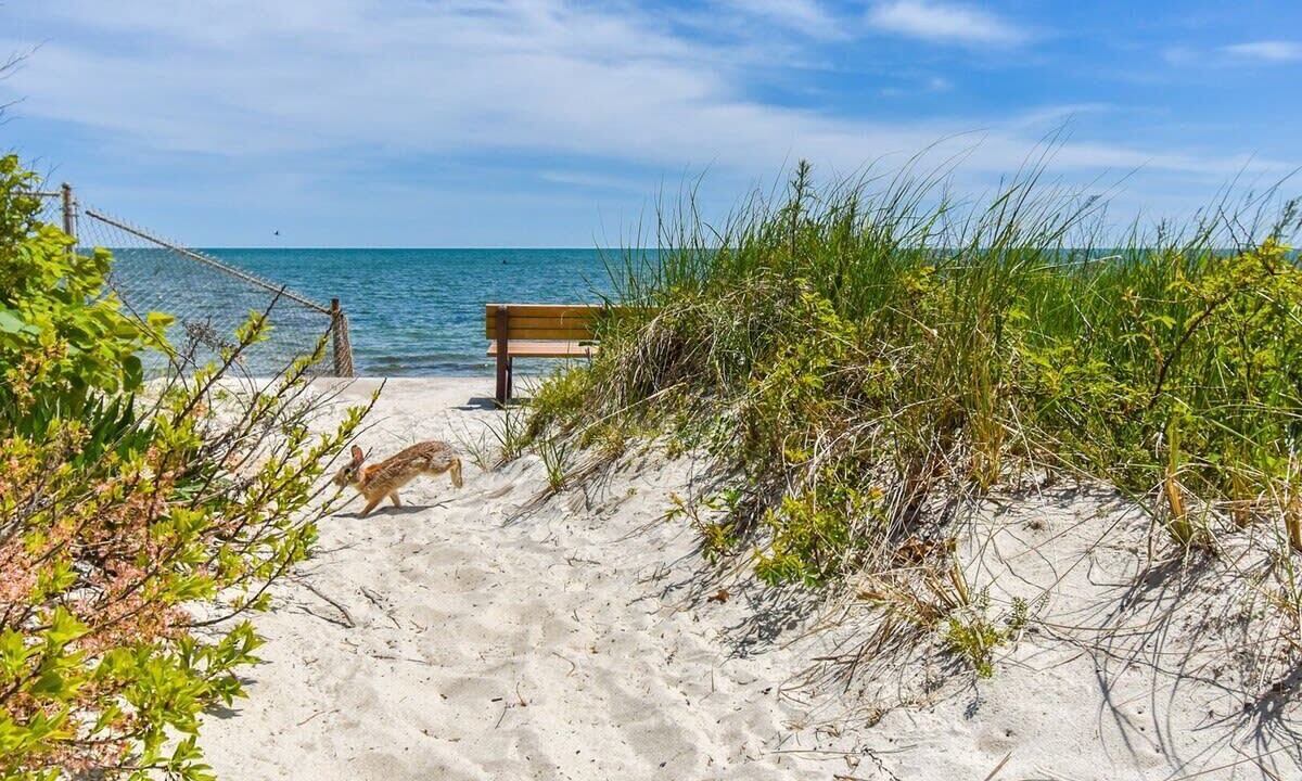 Photo of Others in West Yarmouth