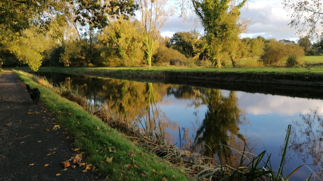 Photo of Outdoor in Paule