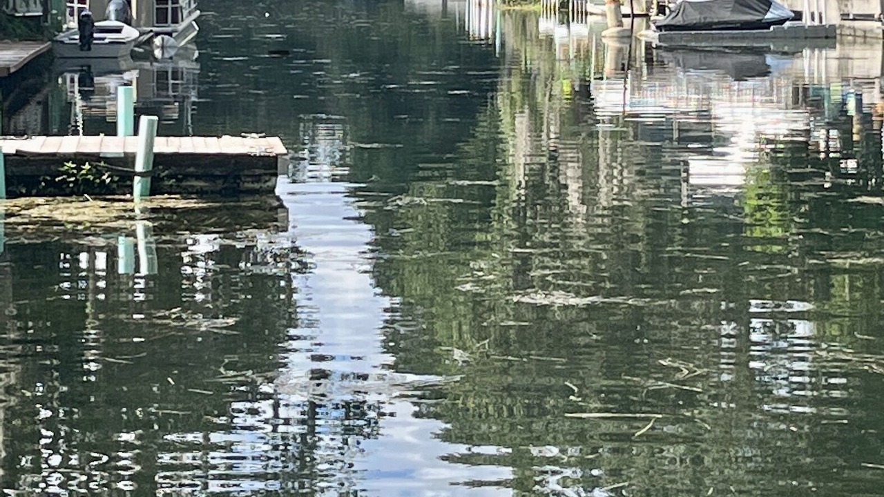 Photo of Others in Weeki Wachee Gardens