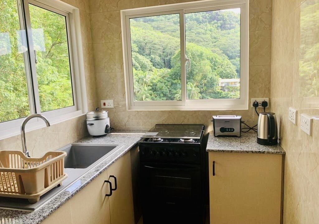 Photo of Kitchen in Anse Royale