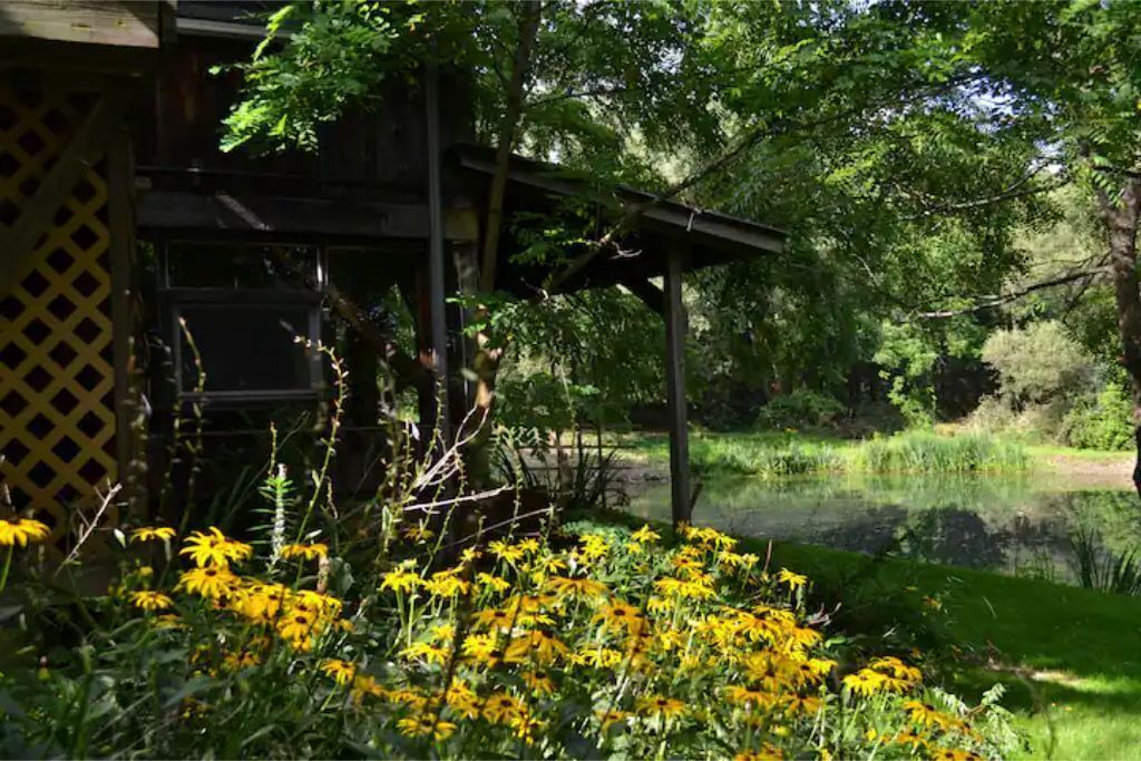 Photo of Outdoor in Marietta