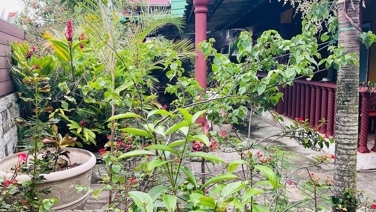 Photo of Outdoor in Zig Zag Ward