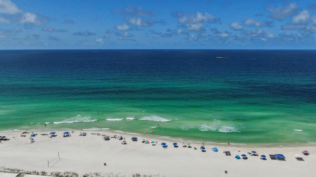 Photo of Others in El Centro Beach
