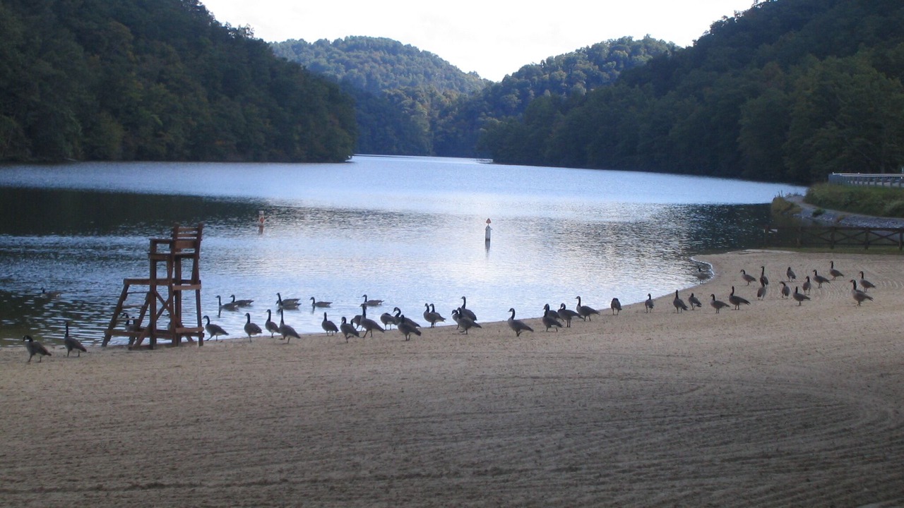Photo of Others in Marion