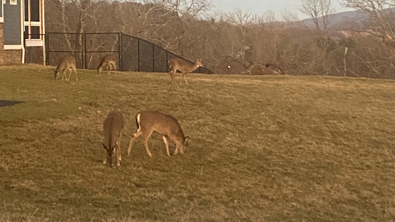 Photo of Outdoor in Marion