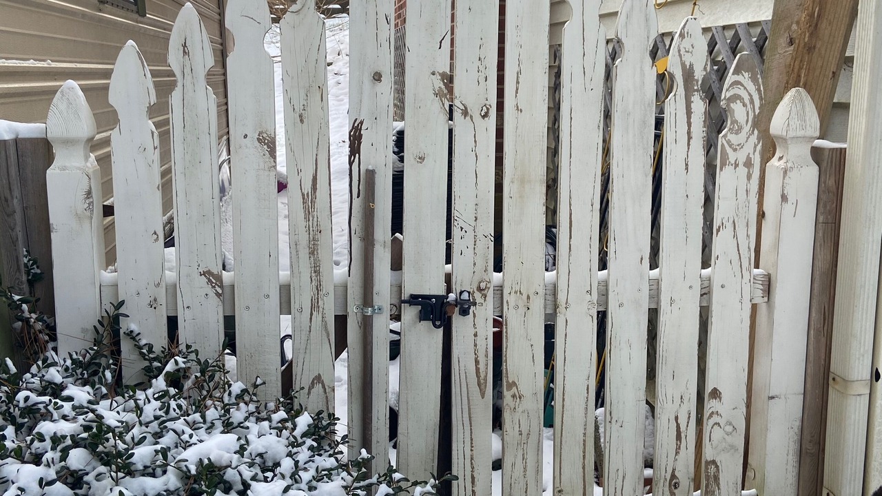 Photo of Outdoor in Henderson