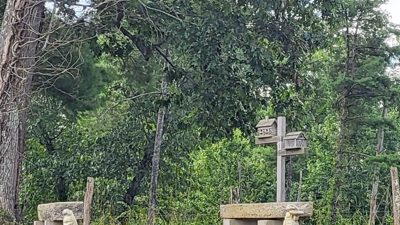 Photo of Outdoor in Austinville