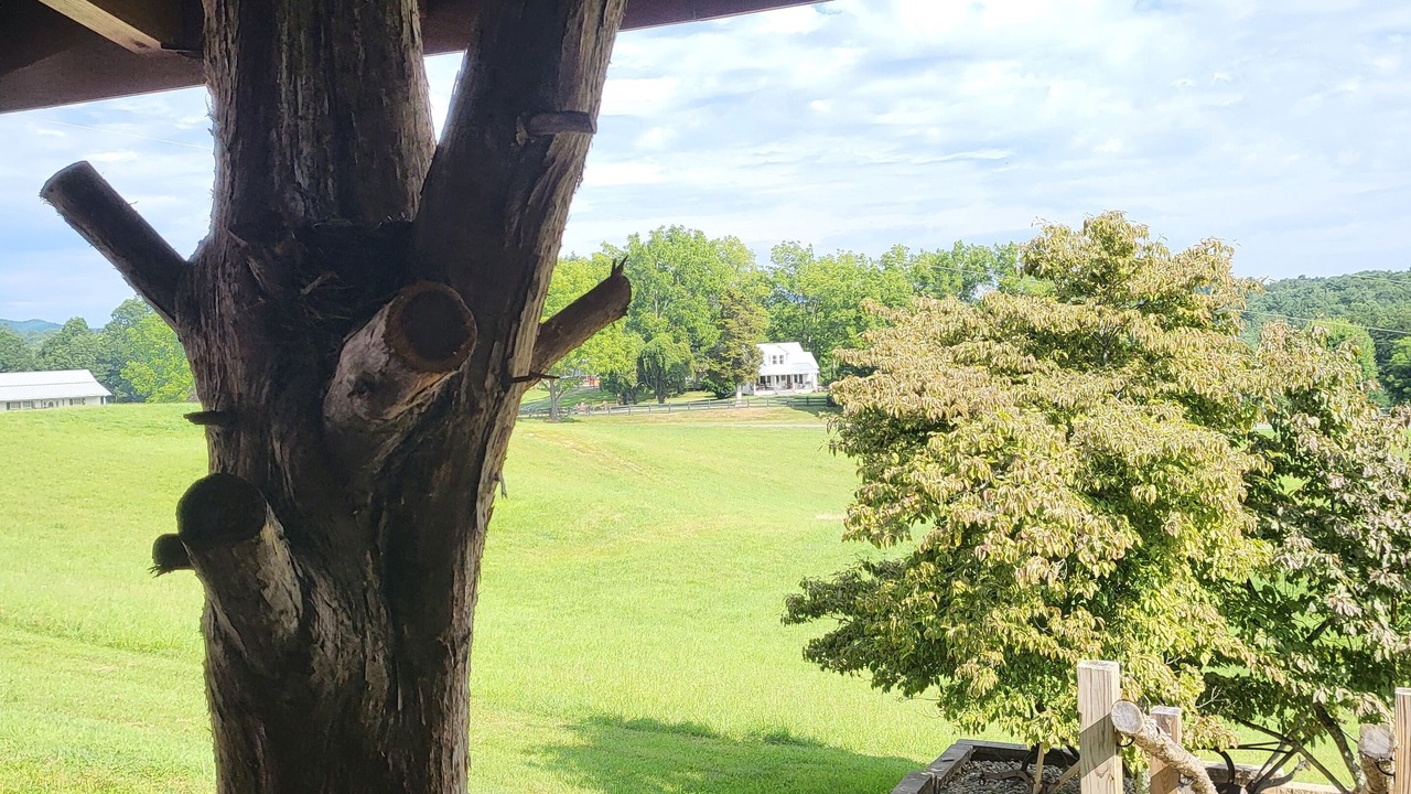 Photo of Outdoor in Austinville