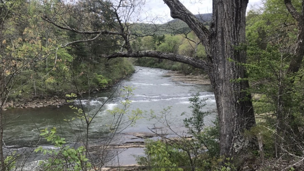 Photo of Others in Rockbridge Baths