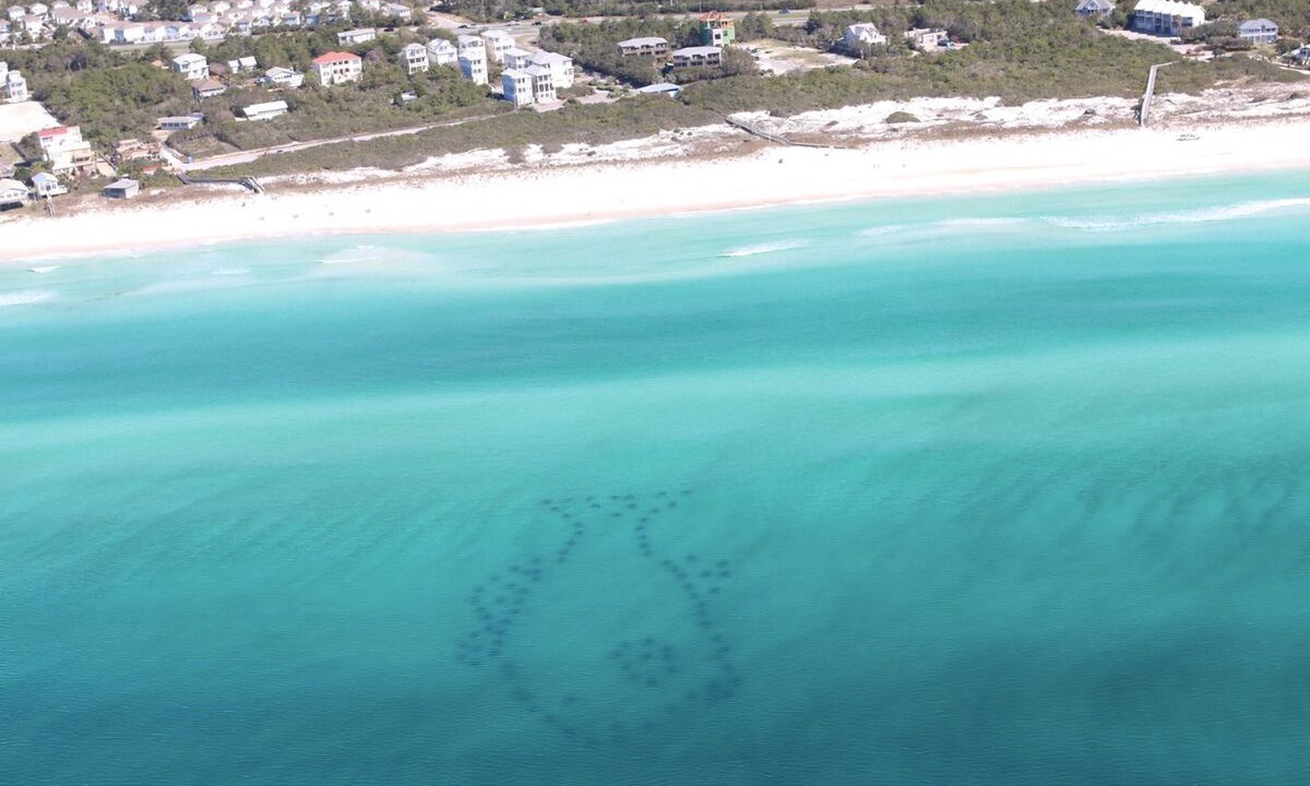 Photo of Others in Sandestin