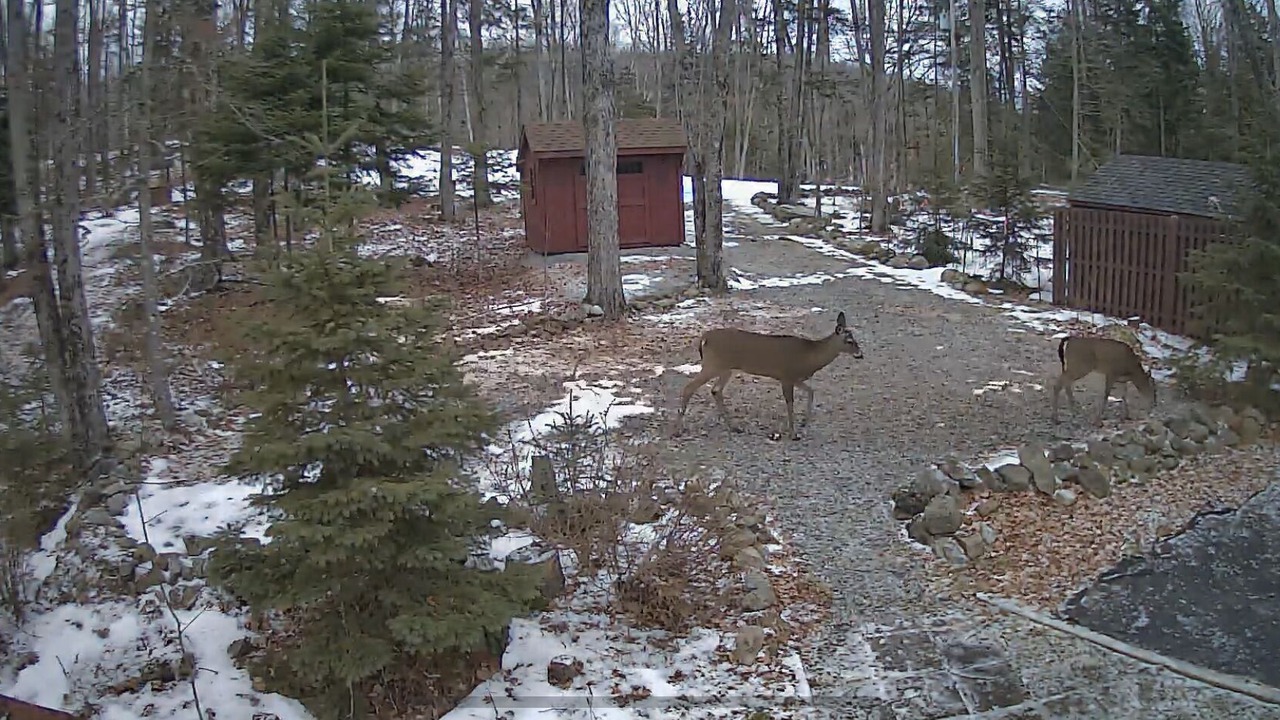 Photo of Others in Indian Lake