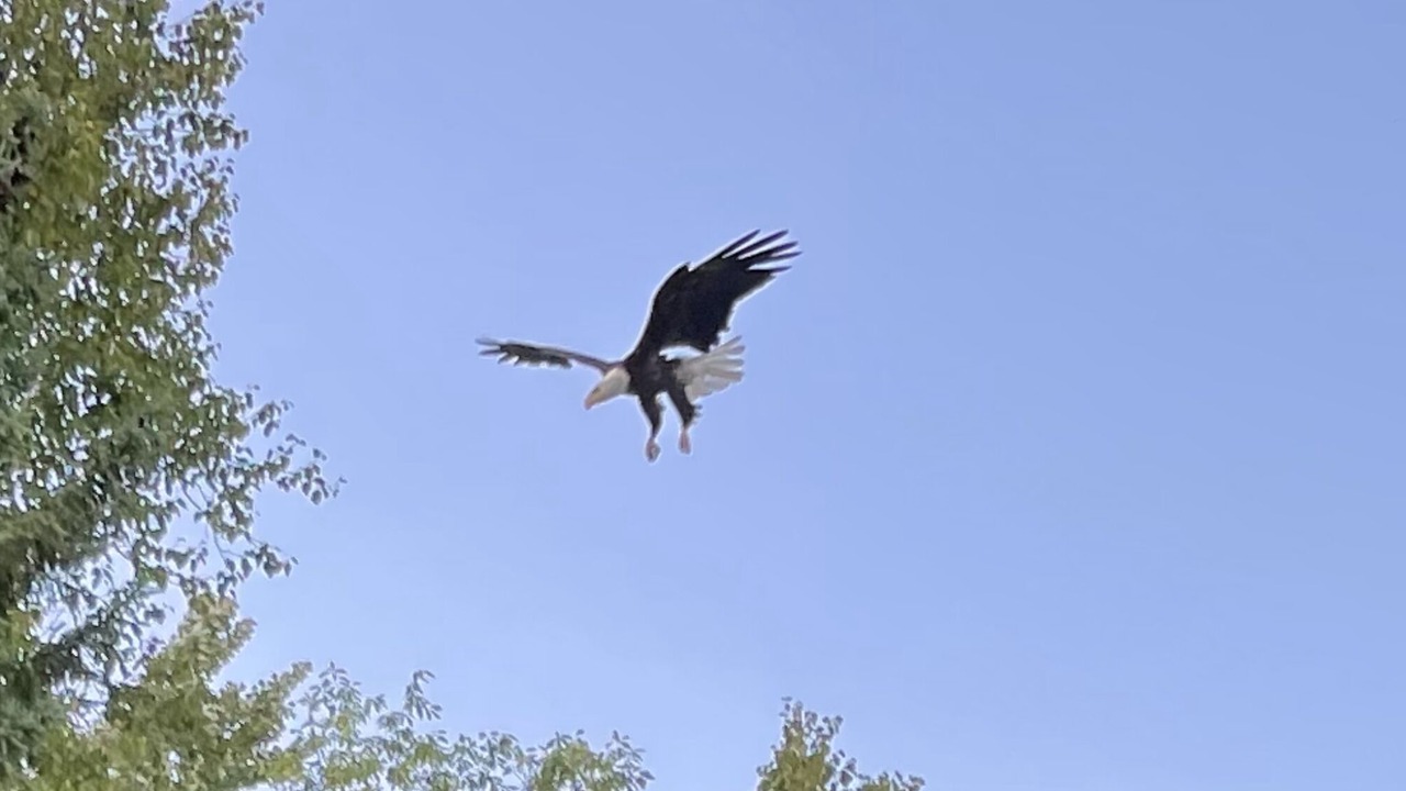 Photo of Outdoor in Indian Lake