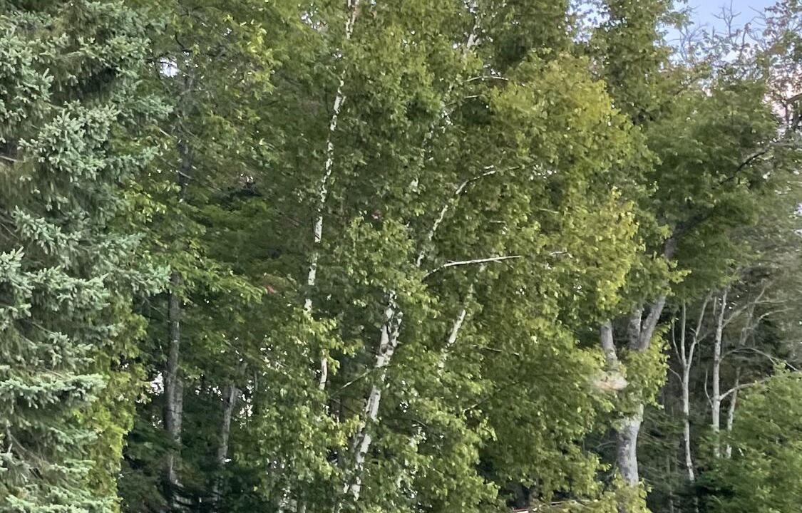 Photo of Outdoor in Indian Lake