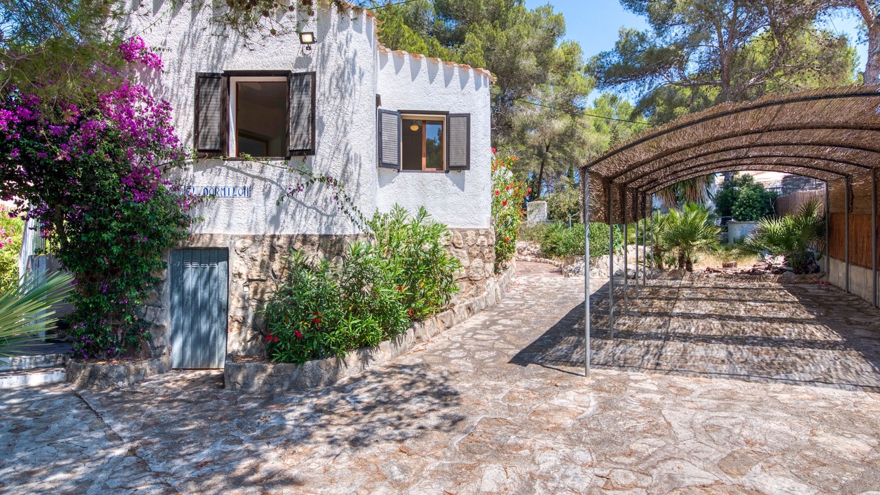 Photo of Outdoor in Panorama