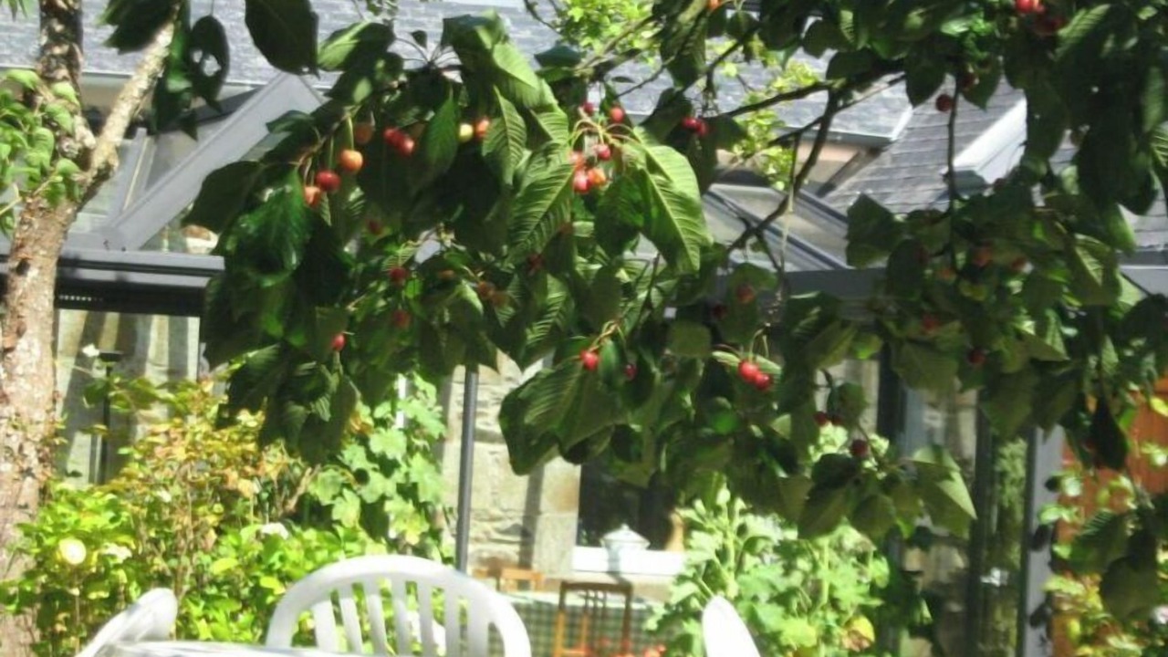 Photo of Outdoor in Pordic