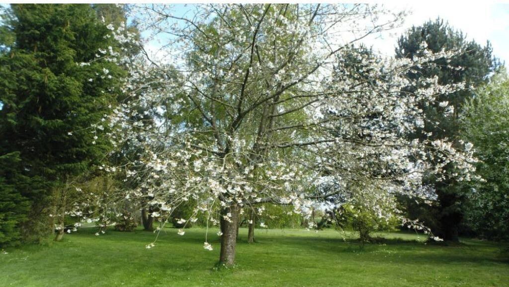 Photo of Outdoor in Pordic