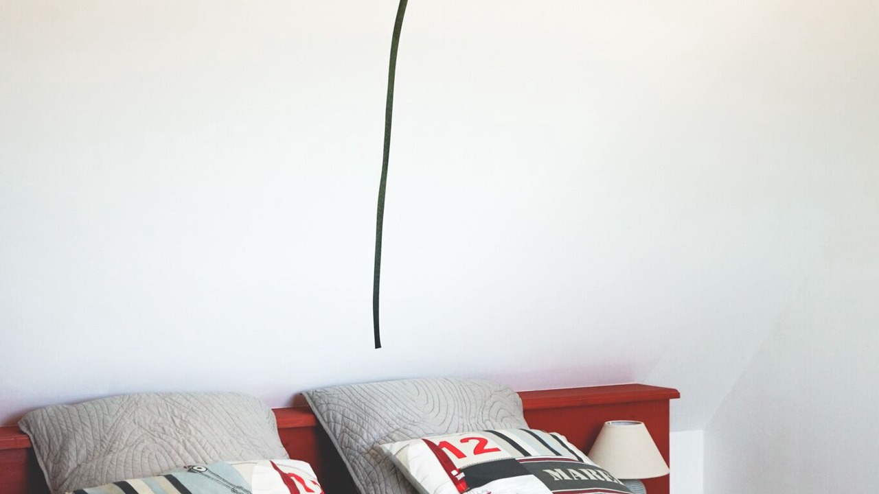 Photo of Bedroom in Trebeurden