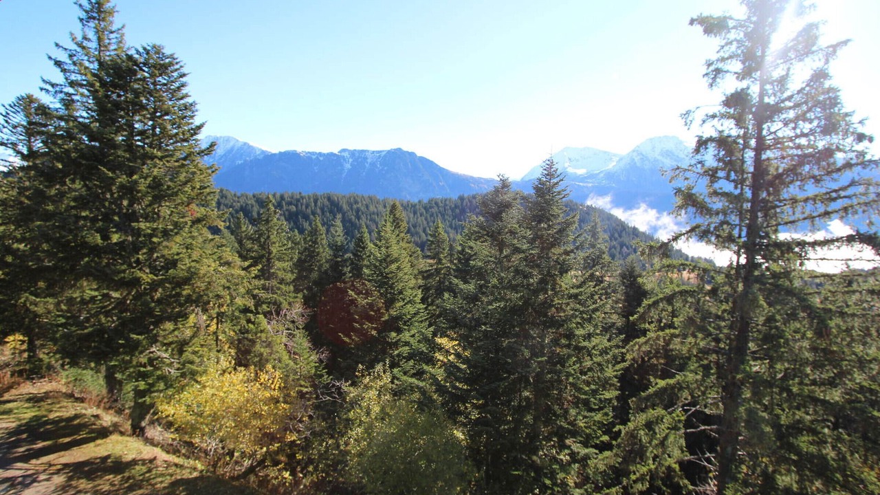 Photo of Outdoor in Chamrousse