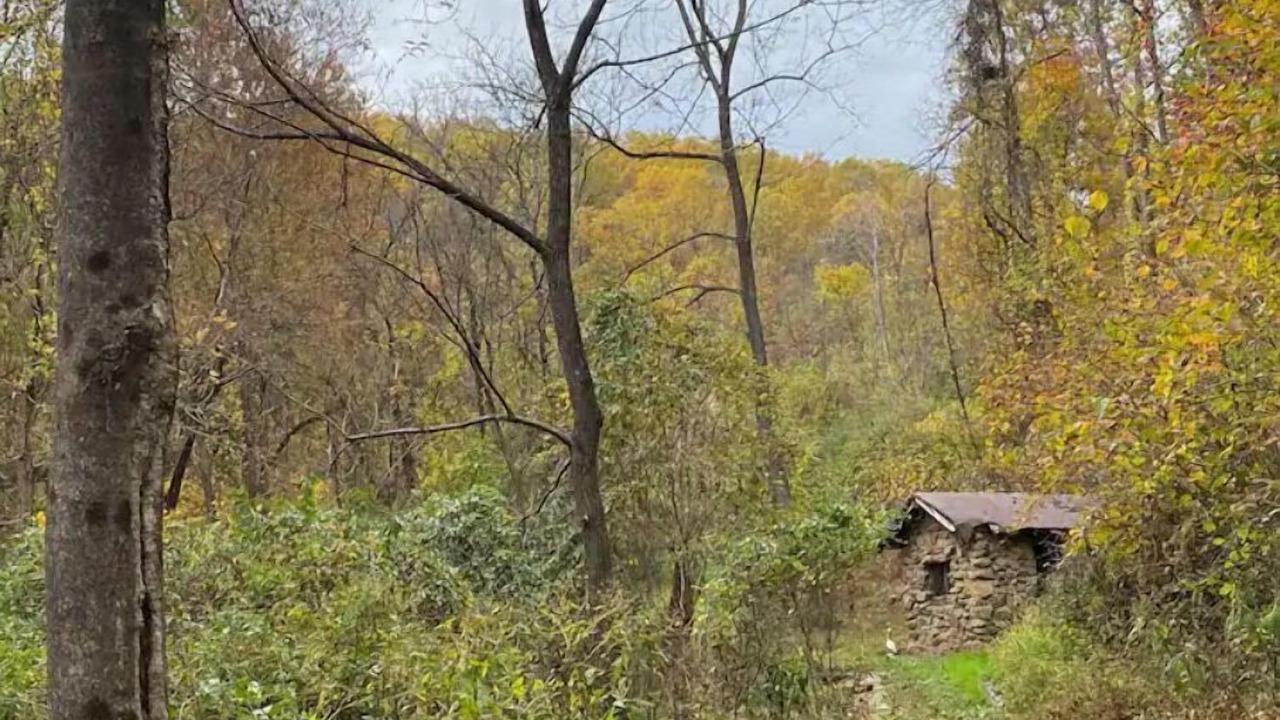 Photo of Outdoor in Afton