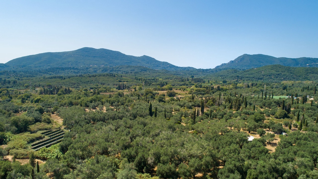 Photo of Others in Dafnata