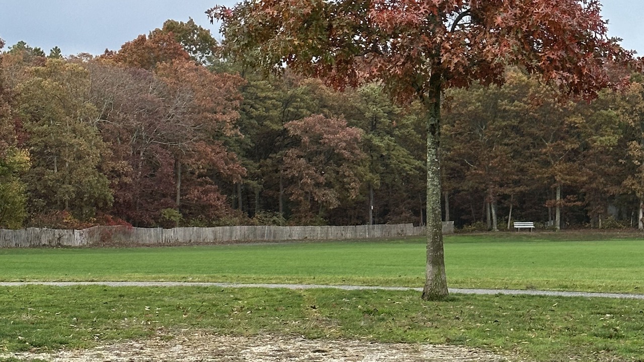 Photo of Outdoor in Nesconset