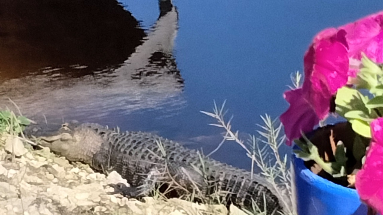 Photo of Outdoor in Cocoa