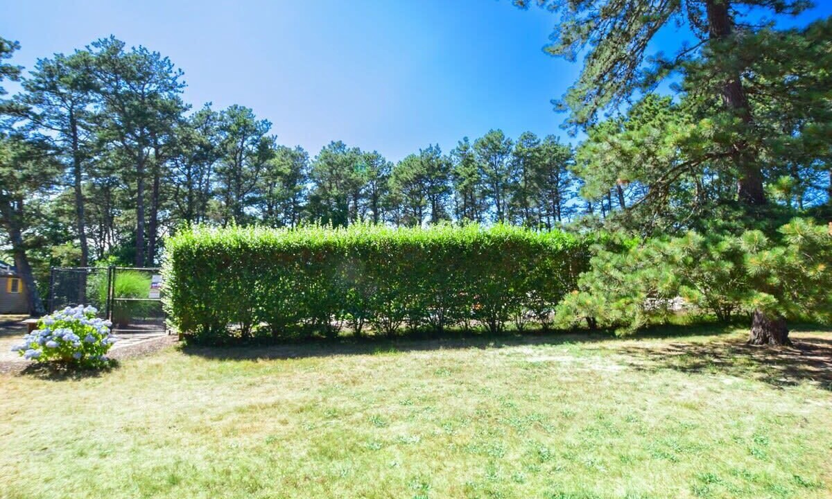 Photo of Outdoor in Wellfleet
