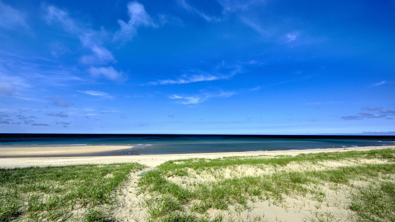 Photo of Others in Sagamore Beach