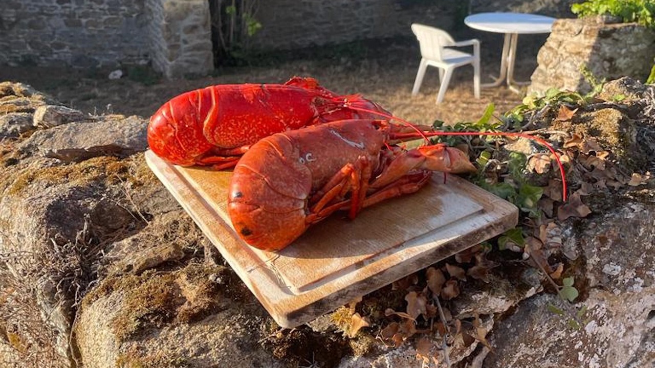 Photo of Outdoor in Lancieux