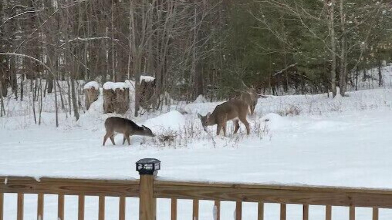 Photo of Outdoor in Warrensburg