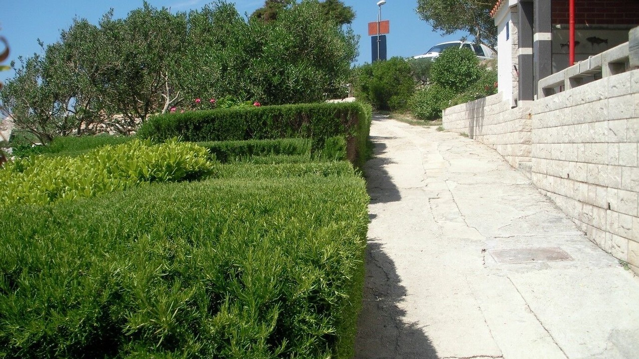 Photo of Outdoor in Zarace