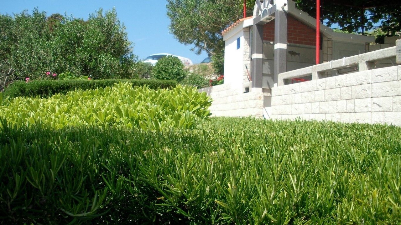 Photo of Outdoor in Zarace