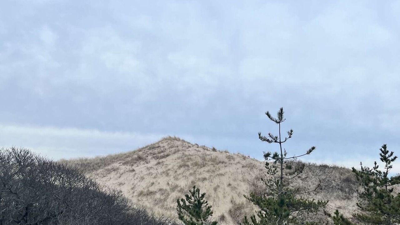 Photo of Outdoor in Napeague