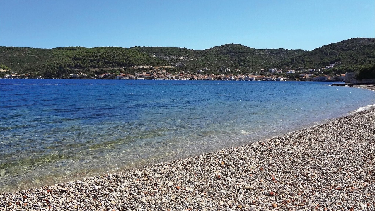 Photo of Others in Vis
