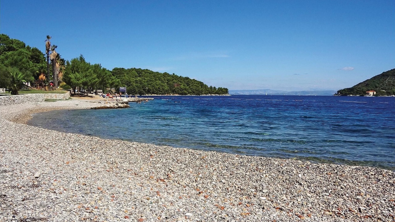Photo of Others in Vis