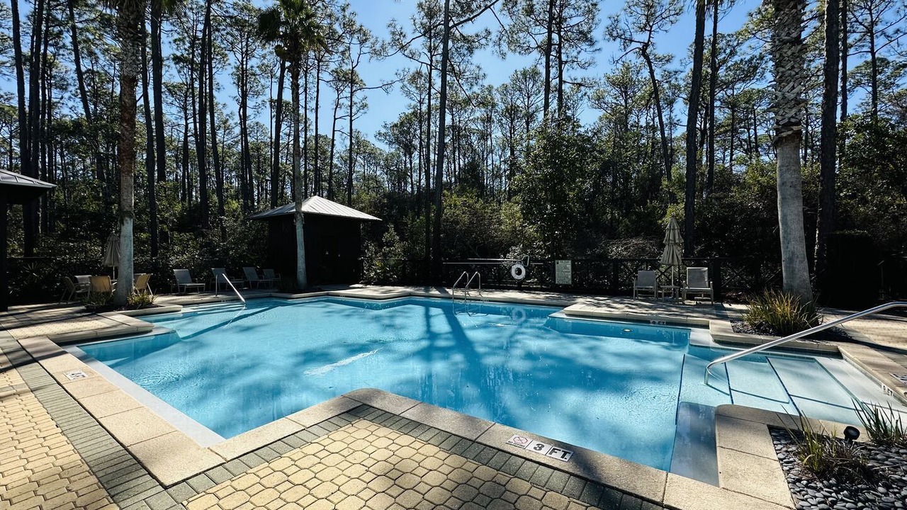 Photo of Outdoor in Treetop