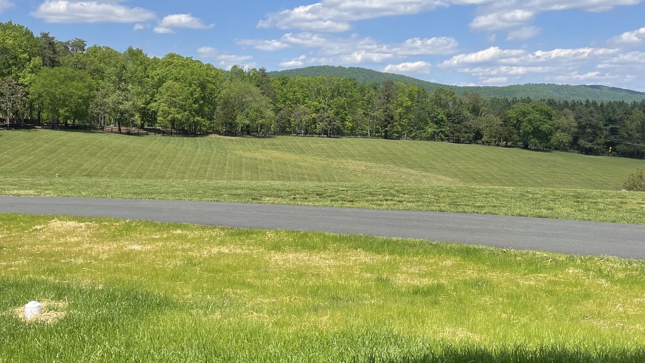 Photo of Outdoor in Boyd Tavern
