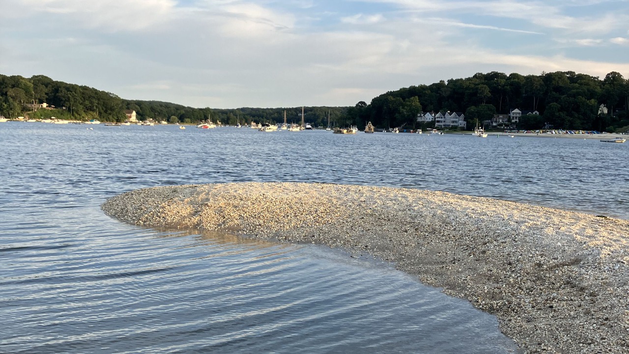 Photo of Others in Northport