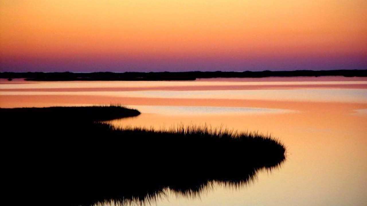Photo of Others in Chincoteague