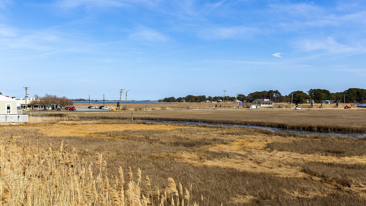 Photo of Others in Chincoteague
