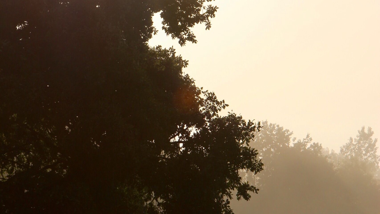 Photo of Outdoor in Les Champs-Geraux