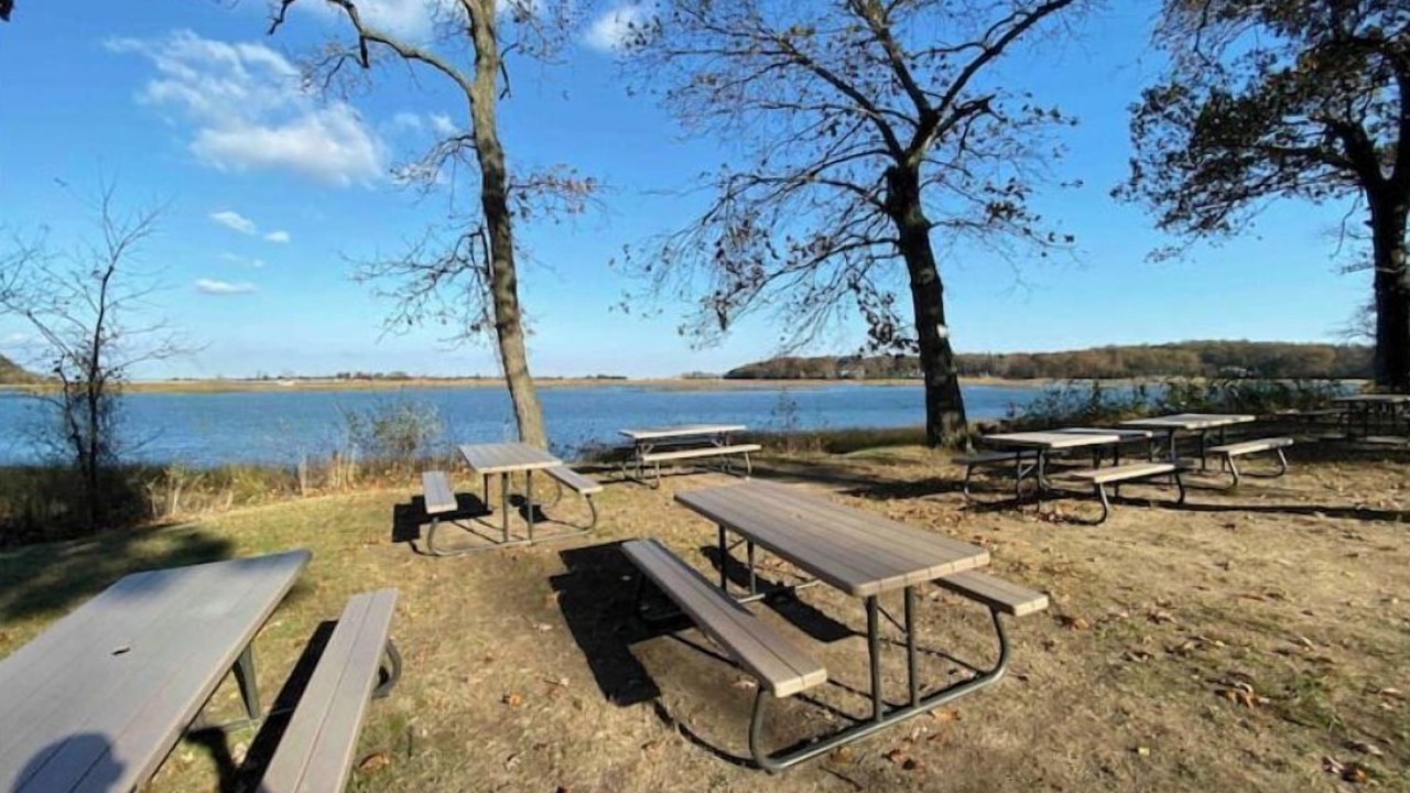 Photo of Outdoor in Kings Park