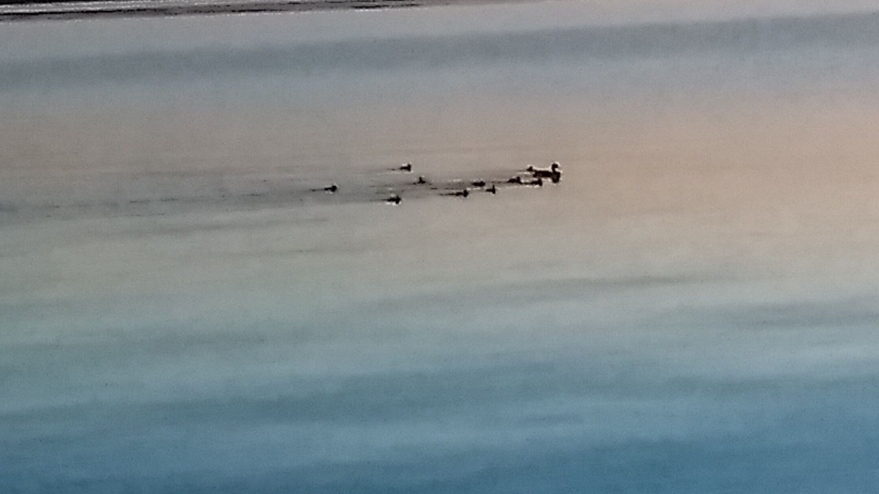 Photo of Others in Manistique