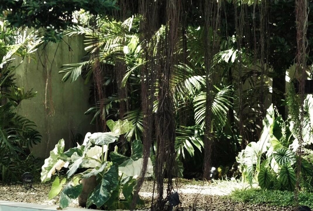Photo of Outdoor in Danao
