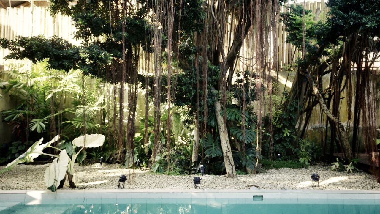 Photo of Others in Danao