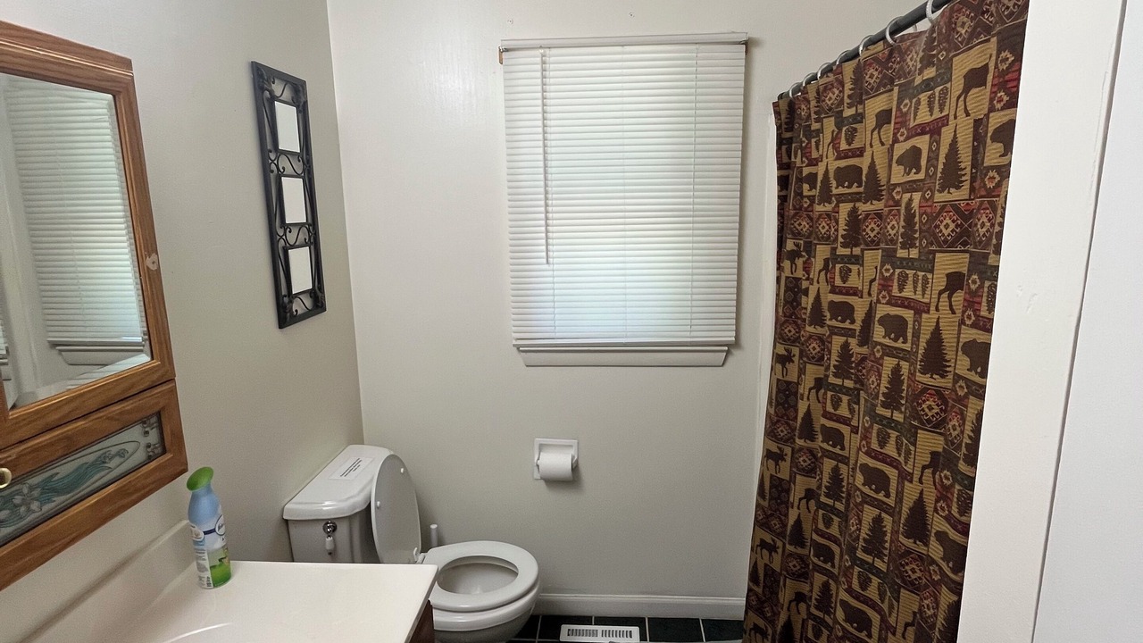 Photo of Bathroom in Lake